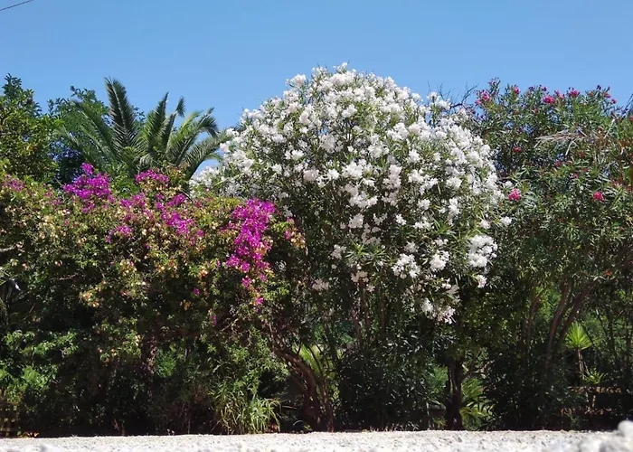 Pineta Mare - Goelba * קאפוליברי