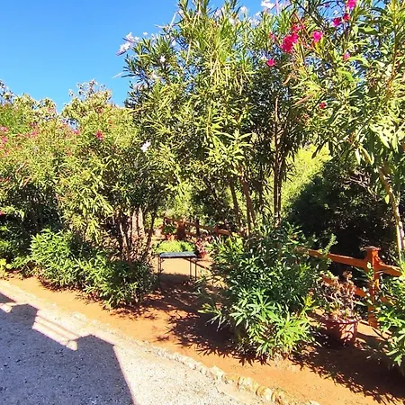 Pineta Mare - Goelba Capoliveri (Isola d'Elba)