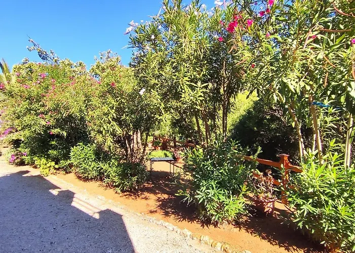 Pineta Mare - Goelba Каполивери